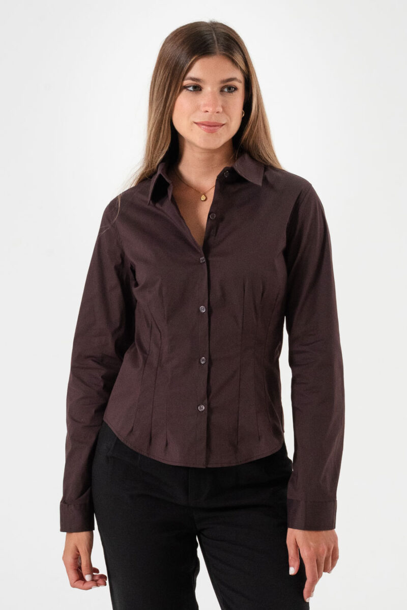 Camisa Entallada pinzas